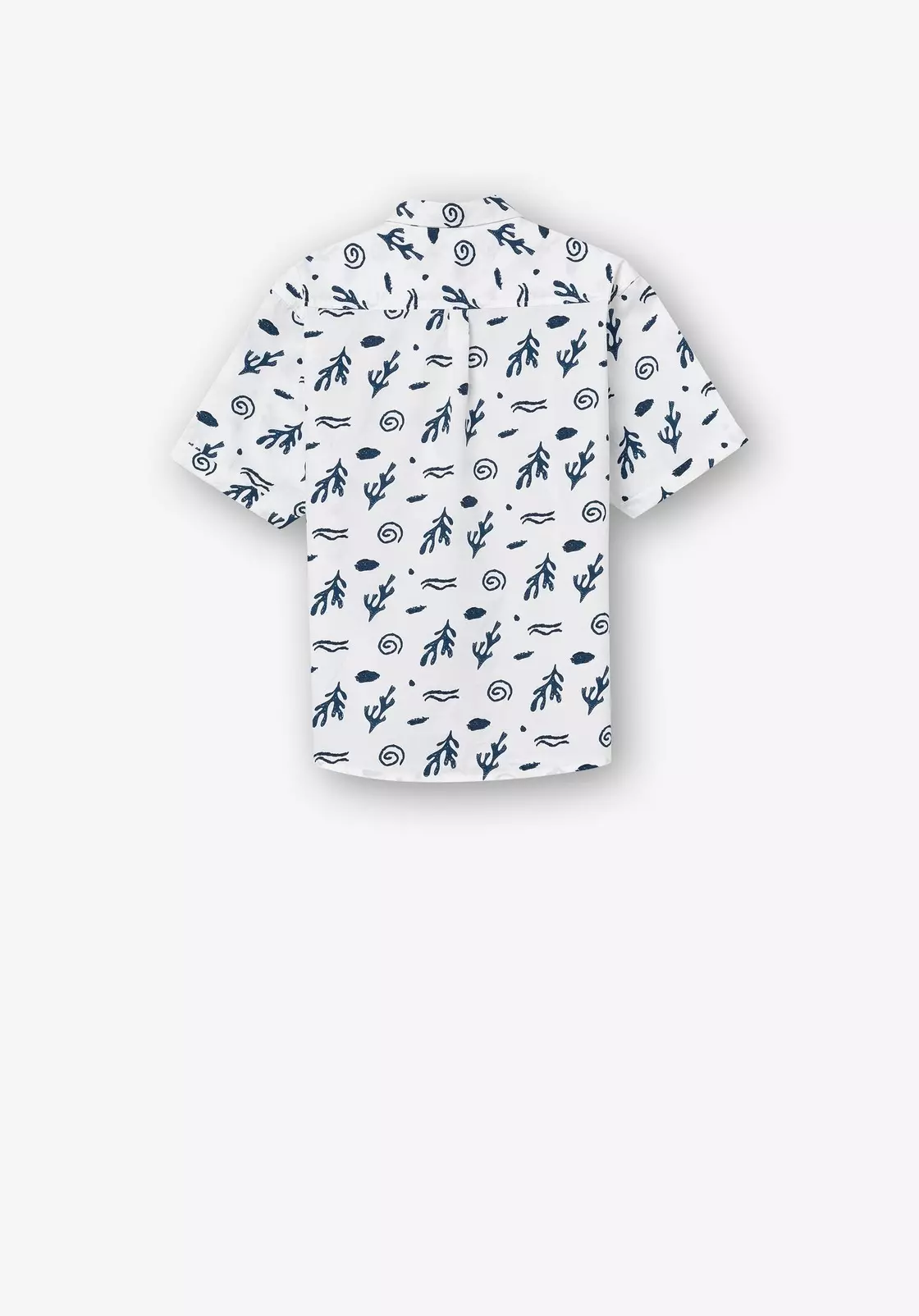 10050000001_2_2023031310